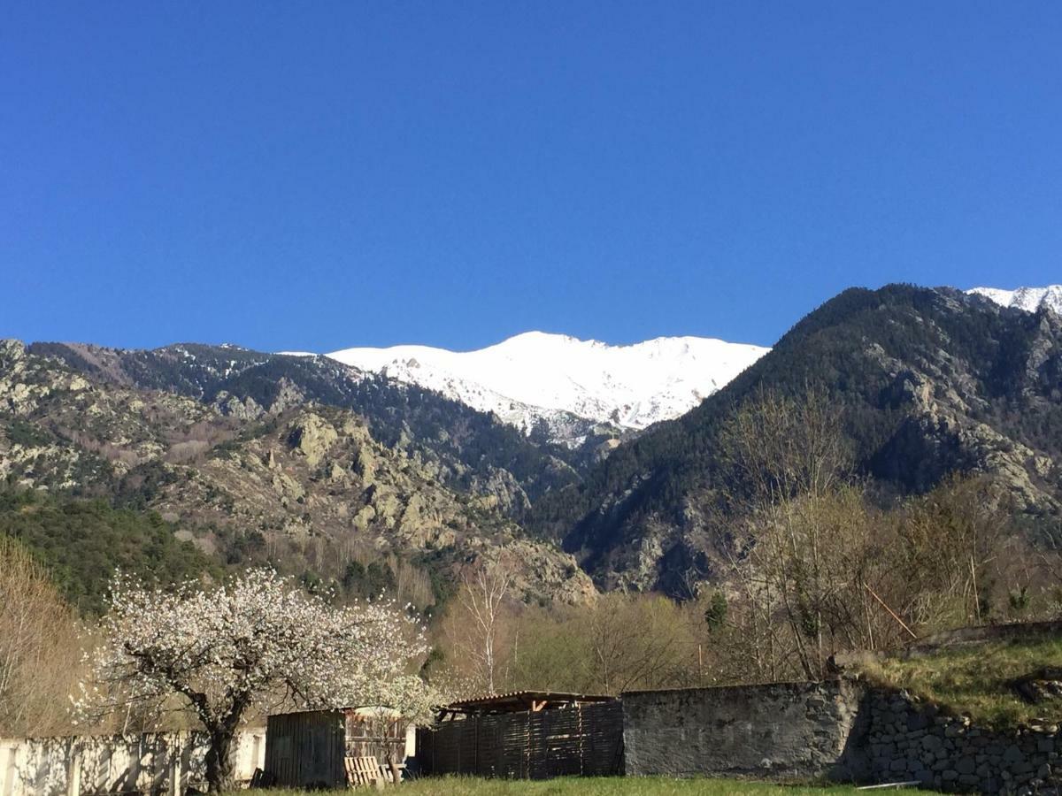 Sarl L'Alzina Vila Vernet-les-Bains Exterior foto